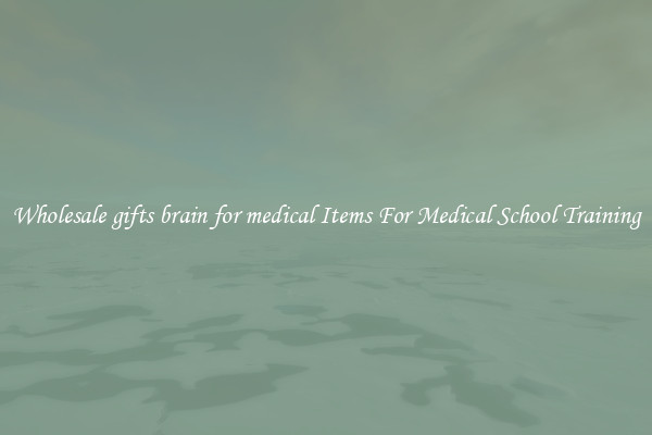 Wholesale gifts brain for medical Items For Medical School Training