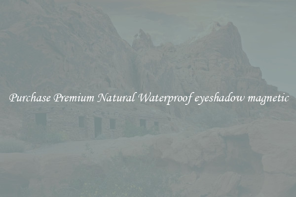 Purchase Premium Natural Waterproof eyeshadow magnetic