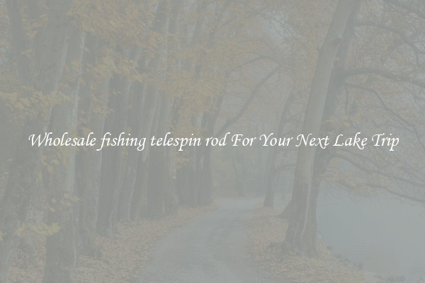 Wholesale fishing telespin rod For Your Next Lake Trip