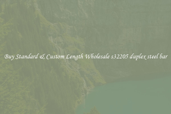 Buy Standard & Custom Length Wholesale s32205 duplex steel bar