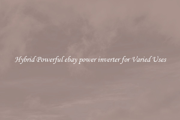 Hybrid Powerful ebay power inverter for Varied Uses