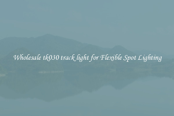 Wholesale tk030 track light for Flexible Spot Lighting