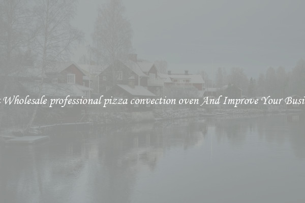 Get Wholesale professional pizza convection oven And Improve Your Business