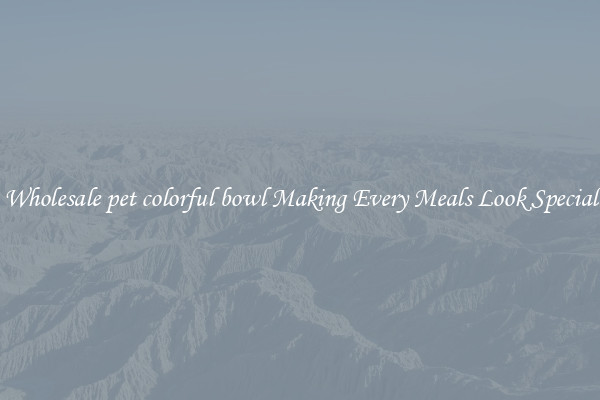 Wholesale pet colorful bowl Making Every Meals Look Special