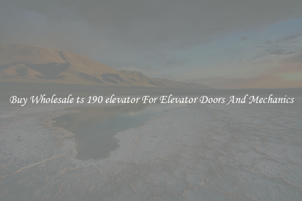 Buy Wholesale ts 190 elevator For Elevator Doors And Mechanics