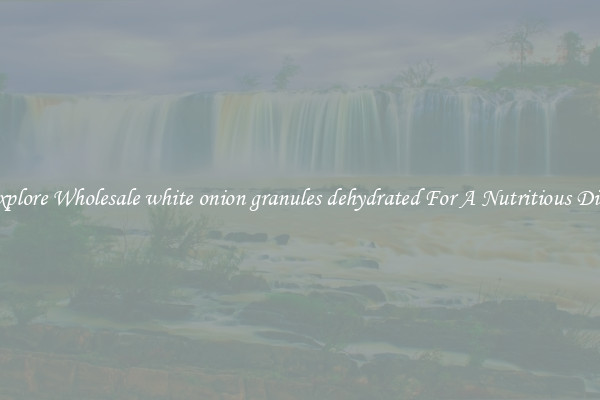 Explore Wholesale white onion granules dehydrated For A Nutritious Diet 