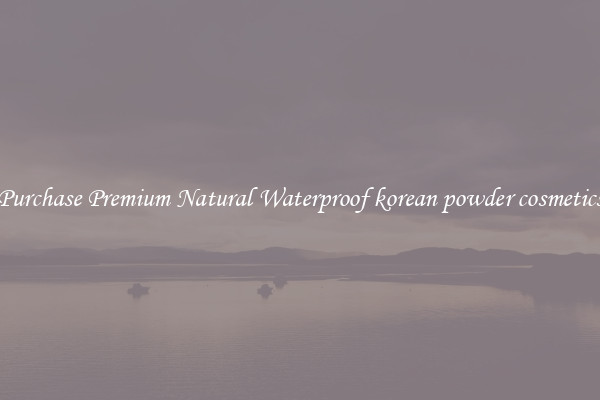Purchase Premium Natural Waterproof korean powder cosmetics