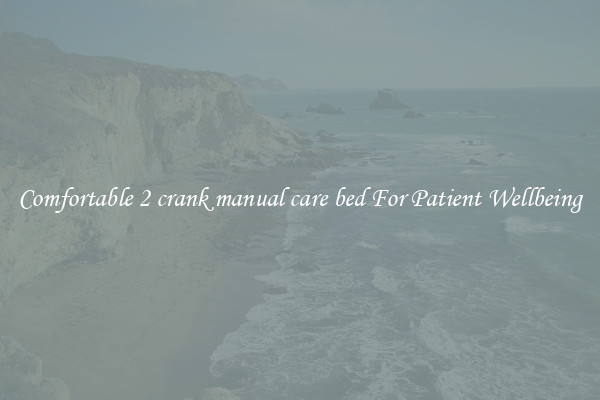 Comfortable 2 crank manual care bed For Patient Wellbeing