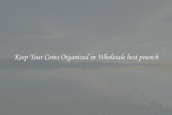 Keep Your Coins Organized in Wholesale best pounch