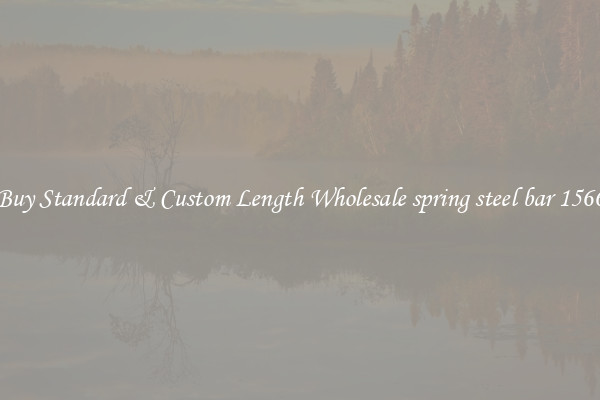 Buy Standard & Custom Length Wholesale spring steel bar 1566