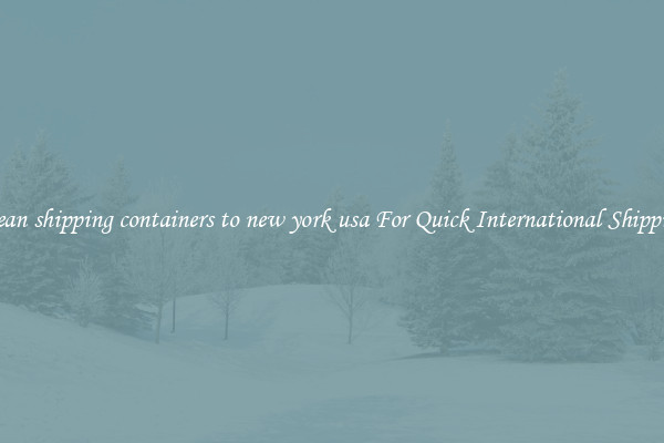 ocean shipping containers to new york usa For Quick International Shipping