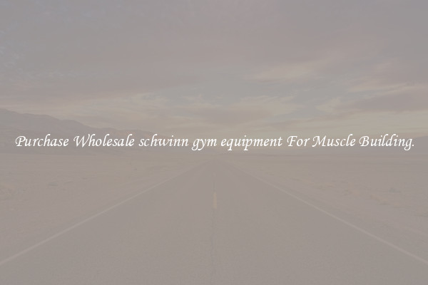 Purchase Wholesale schwinn gym equipment For Muscle Building.