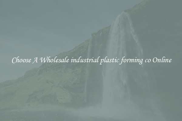 Choose A Wholesale industrial plastic forming co Online