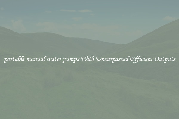 portable manual water pumps With Unsurpassed Efficient Outputs