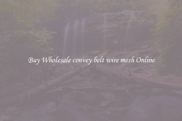 Buy Wholesale convey belt wire mesh Online