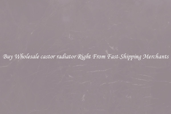 Buy Wholesale castor radiator Right From Fast-Shipping Merchants