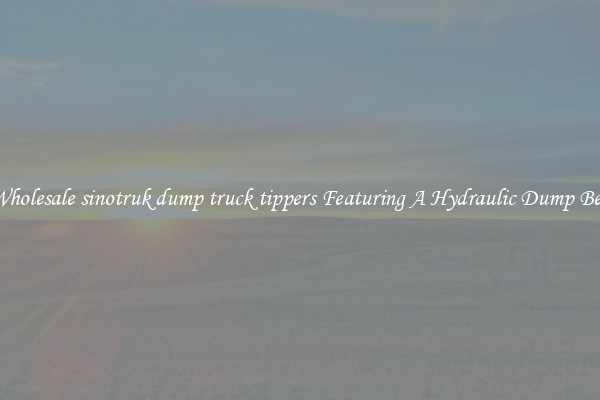 Wholesale sinotruk dump truck tippers Featuring A Hydraulic Dump Bed