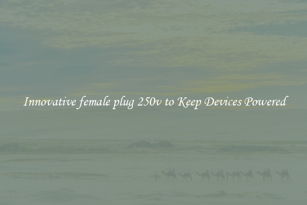 Innovative female plug 250v to Keep Devices Powered