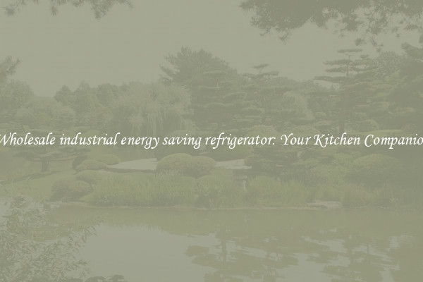 Wholesale industrial energy saving refrigerator: Your Kitchen Companion