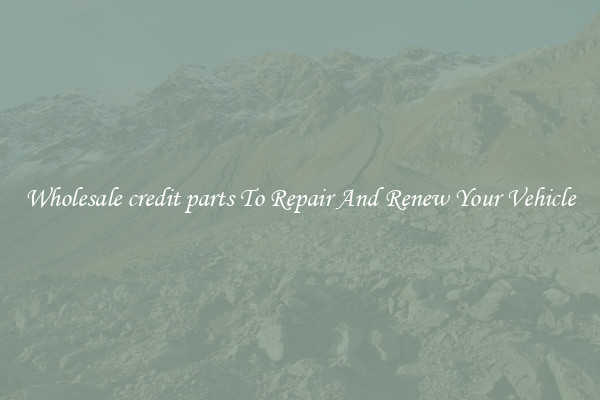 Wholesale credit parts To Repair And Renew Your Vehicle