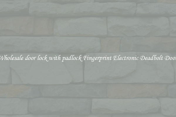 Wholesale door lock with padlock Fingerprint Electronic Deadbolt Door 