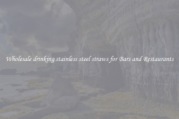 Wholesale drinking stainless steel straws for Bars and Restaurants
