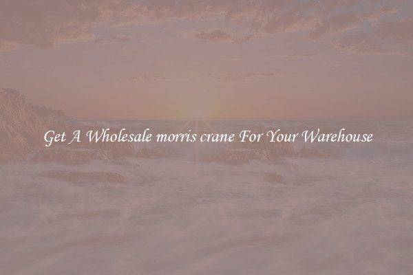Get A Wholesale morris crane For Your Warehouse