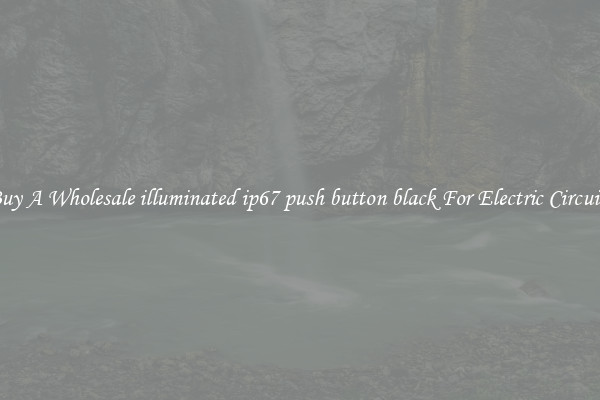 Buy A Wholesale illuminated ip67 push button black For Electric Circuits
